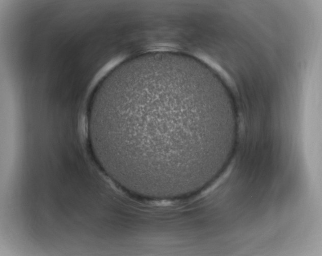 X0000115341317200911091257