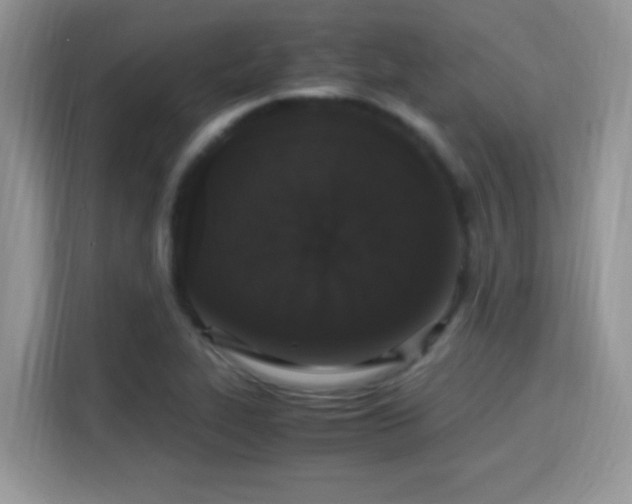 X0000115341319200911091257