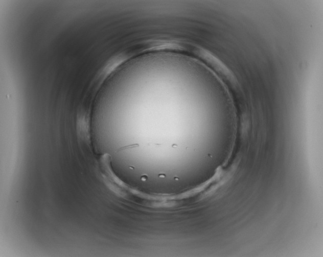 X0000115341321200911091257