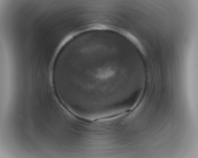 X0000115341326200911091257