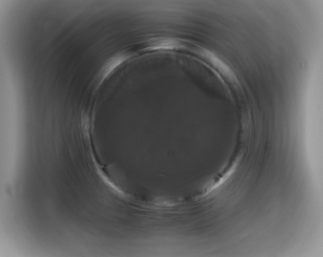 X0000115341329200911091257