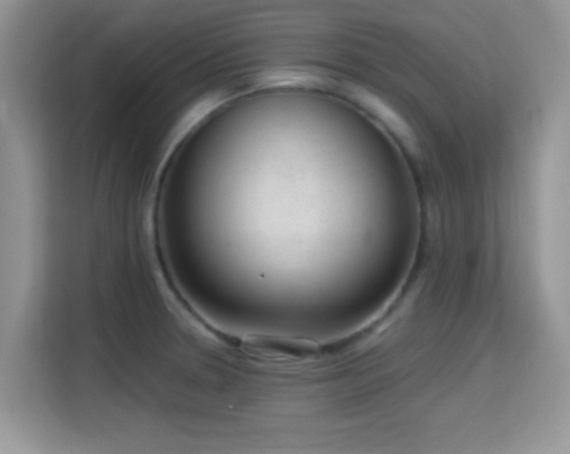 X0000115341330200911091257
