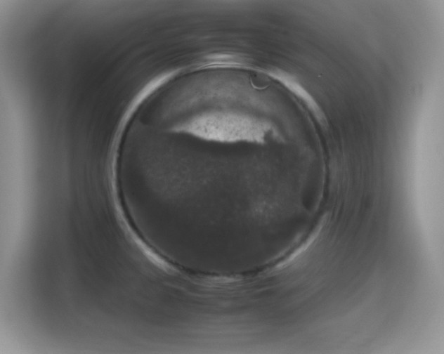 X0000115341333200911091257