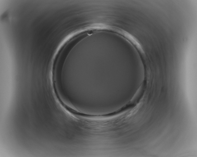 X0000115341334200911091257