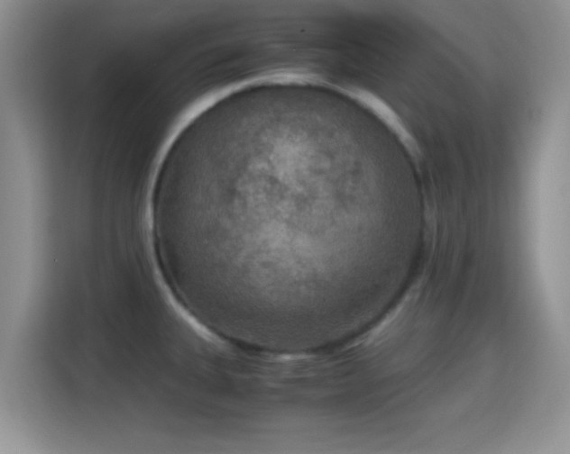 X0000115341335200911091257