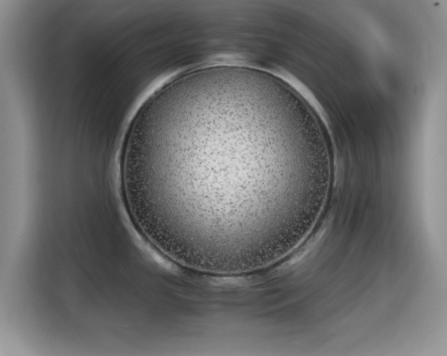 X0000115341341200911091257