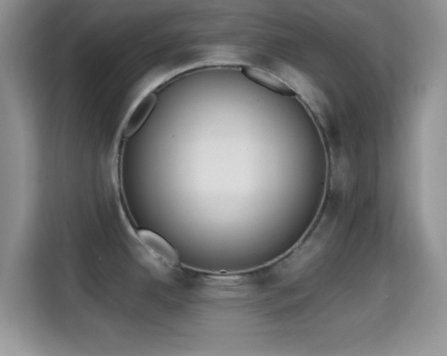 X0000115341342200911091257