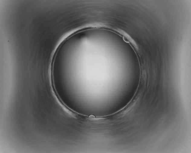 X0000115341343200911091257
