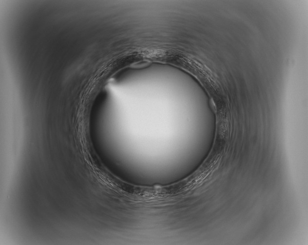 X0000115341345200911091257