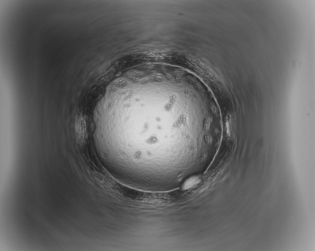 X0000115341347200911091257