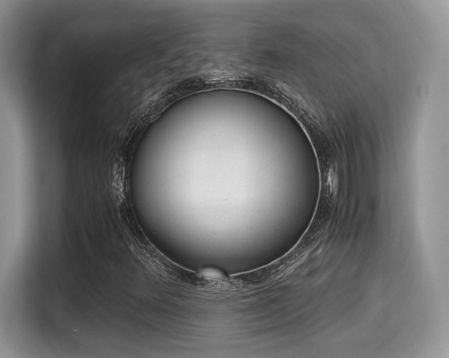 X0000115341348200911091257