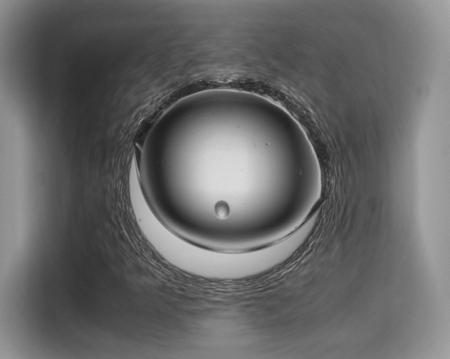 X0000115341349200911091257