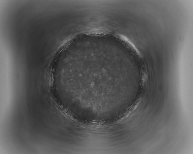 X0000115341350200911091257