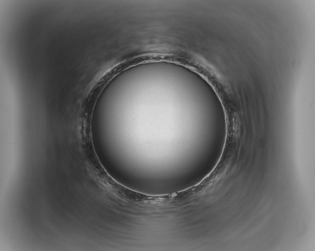 X0000115341352200911091257