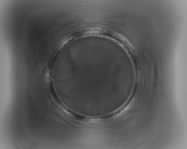 X0000115341353200911091257