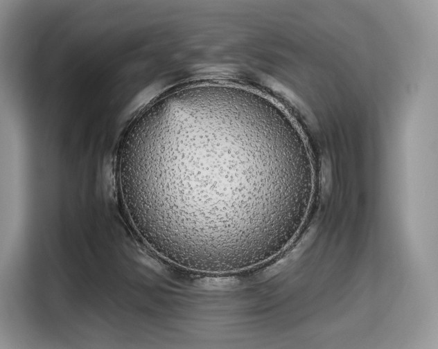 X0000115341354200911091257