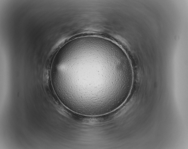 X0000115341355200911091257