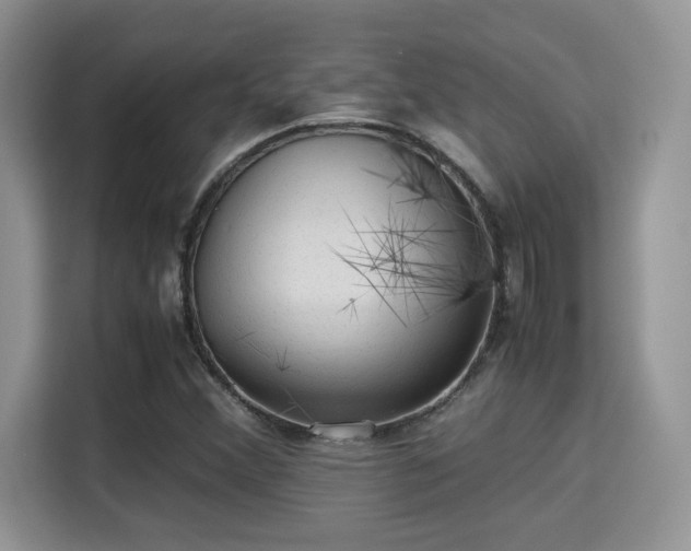 X0000115341356200911091257