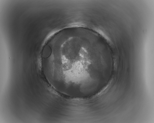 X0000115341358200911091257