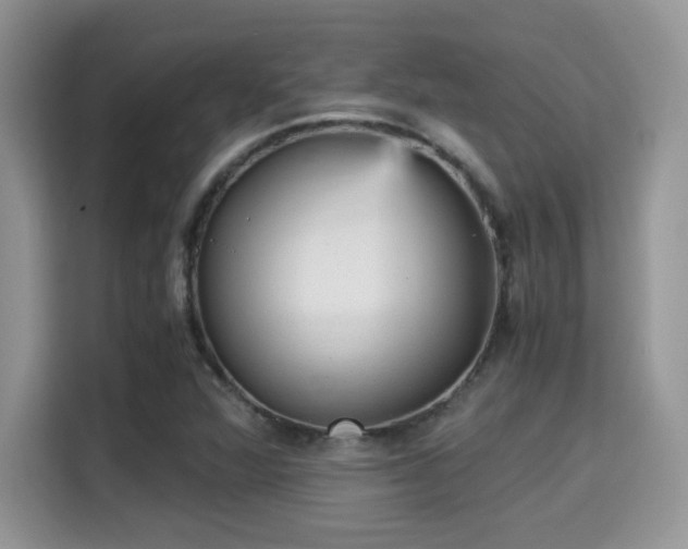X0000115341360200911091257