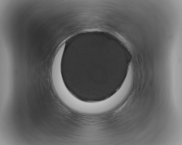 X0000115341361200911091257