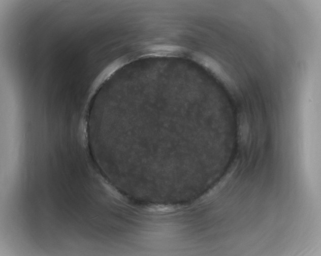 X0000115341362200911091257