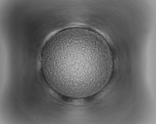 X0000115341363200911091257