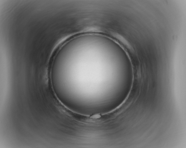 X0000115341364200911091257