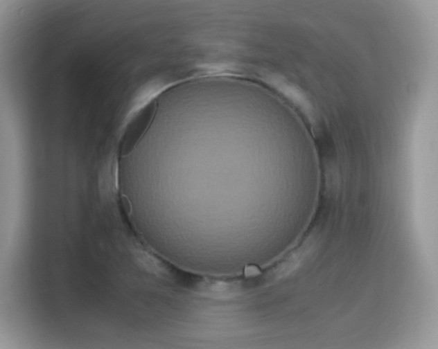 X0000115341365200911091257