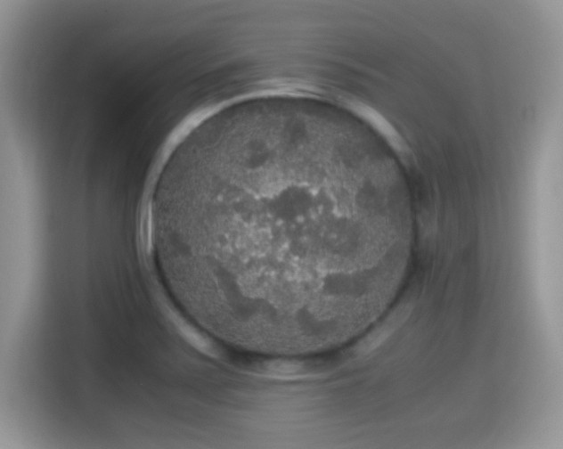 X0000115341371200911091256