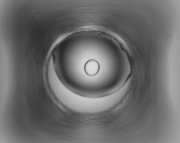X0000115341373200911091256