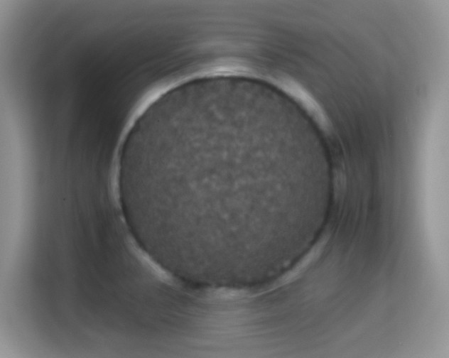 X0000115341374200911091256