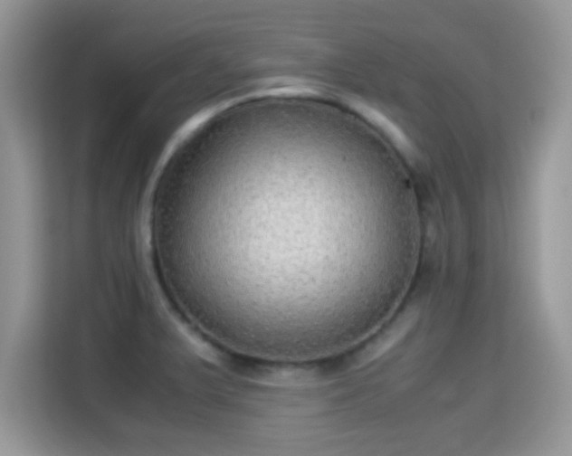 X0000115341375200911091256