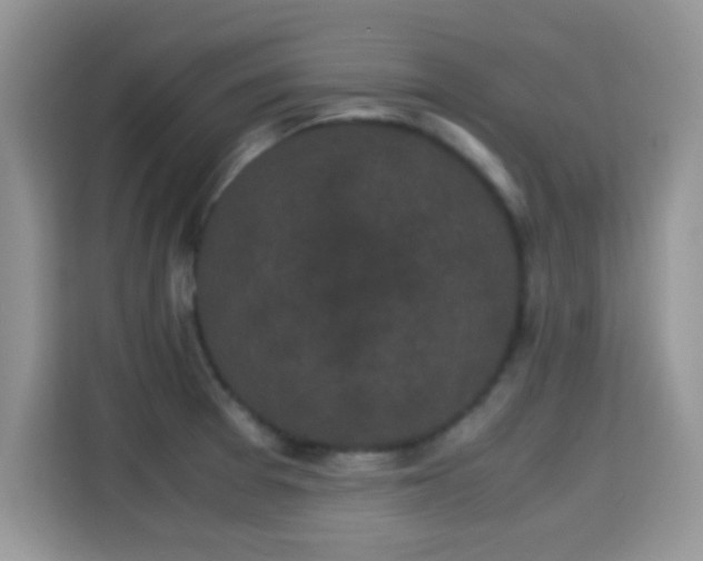 X0000115341377200911091256