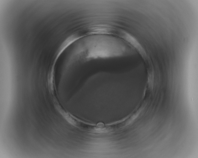 X0000115341378200911091256
