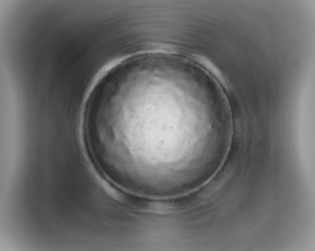 X0000115341379200911091256