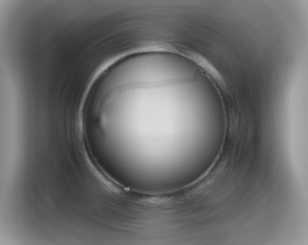 X0000115341380200911091256