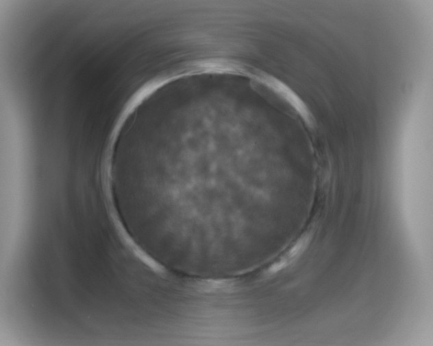 X0000115341381200911091256