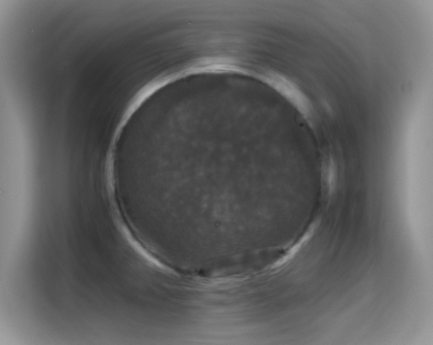 X0000115341382200911091256