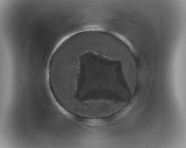 X0000115341383200911091256