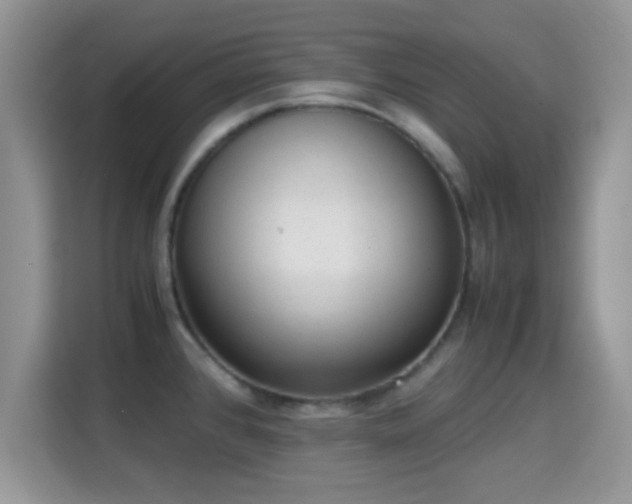 X0000115341384200911091256