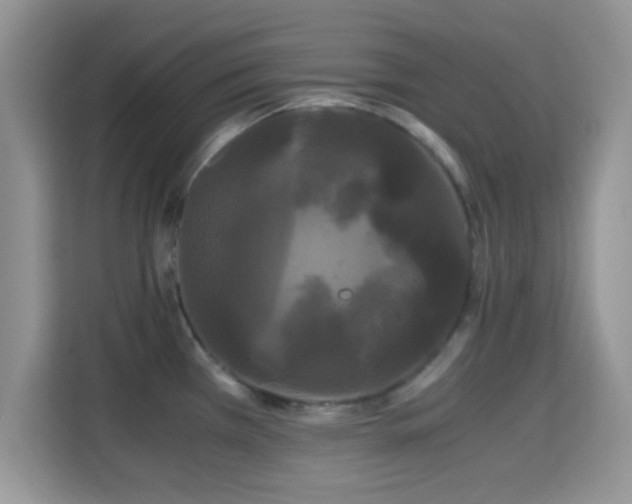 X0000115341385200911091256
