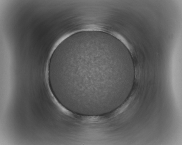 X0000115341387200911091256