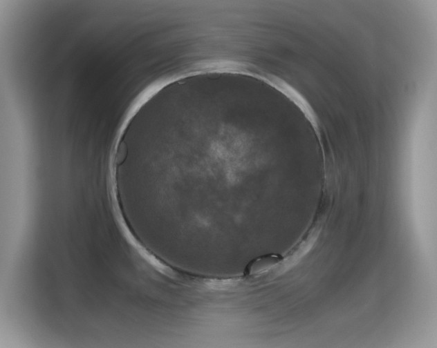 X0000115341389200911091256