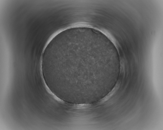 X0000115341390200911091256
