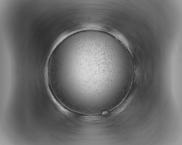 X0000115341391200911091256