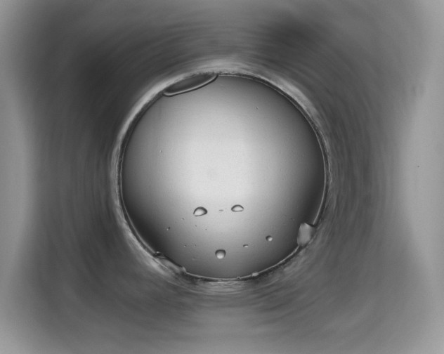 X0000115341392200911091256