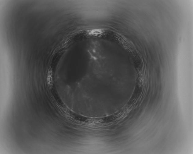 X0000115341394200911091256