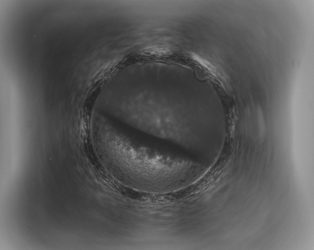 X0000115341397200911091256
