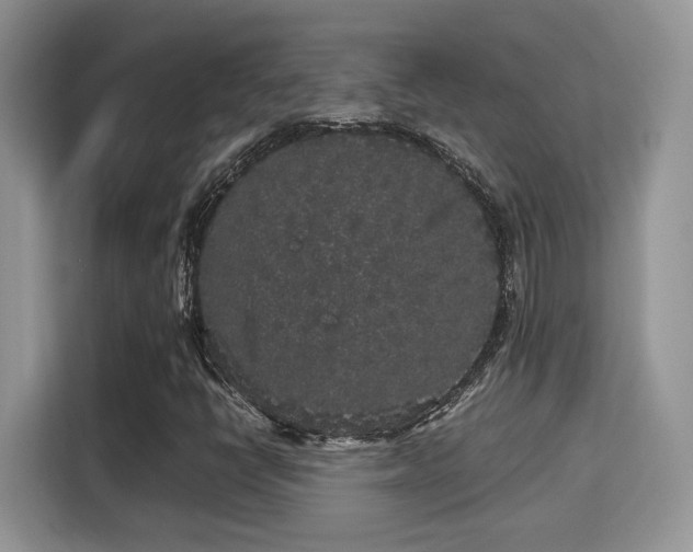 X0000115341398200911091256